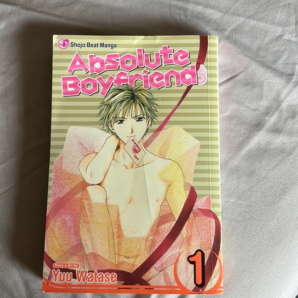 Absolute boyfriend vol.1